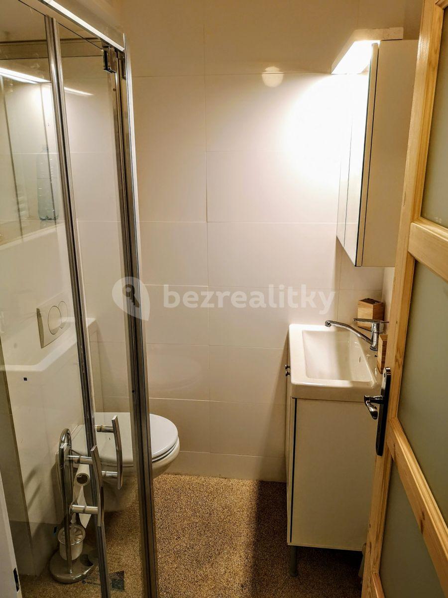 Pronájem bytu 1+1 43 m², Seifertova, Praha, Praha