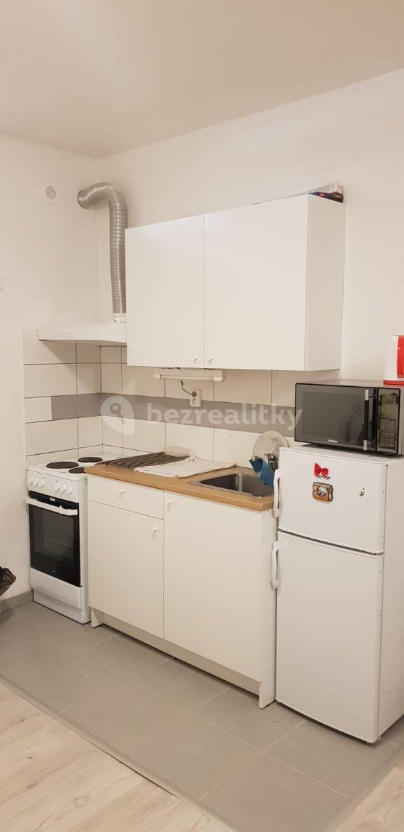 Pronájem bytu 1+kk 40 m², Karoliny Světlé, Kolín, Středočeský kraj