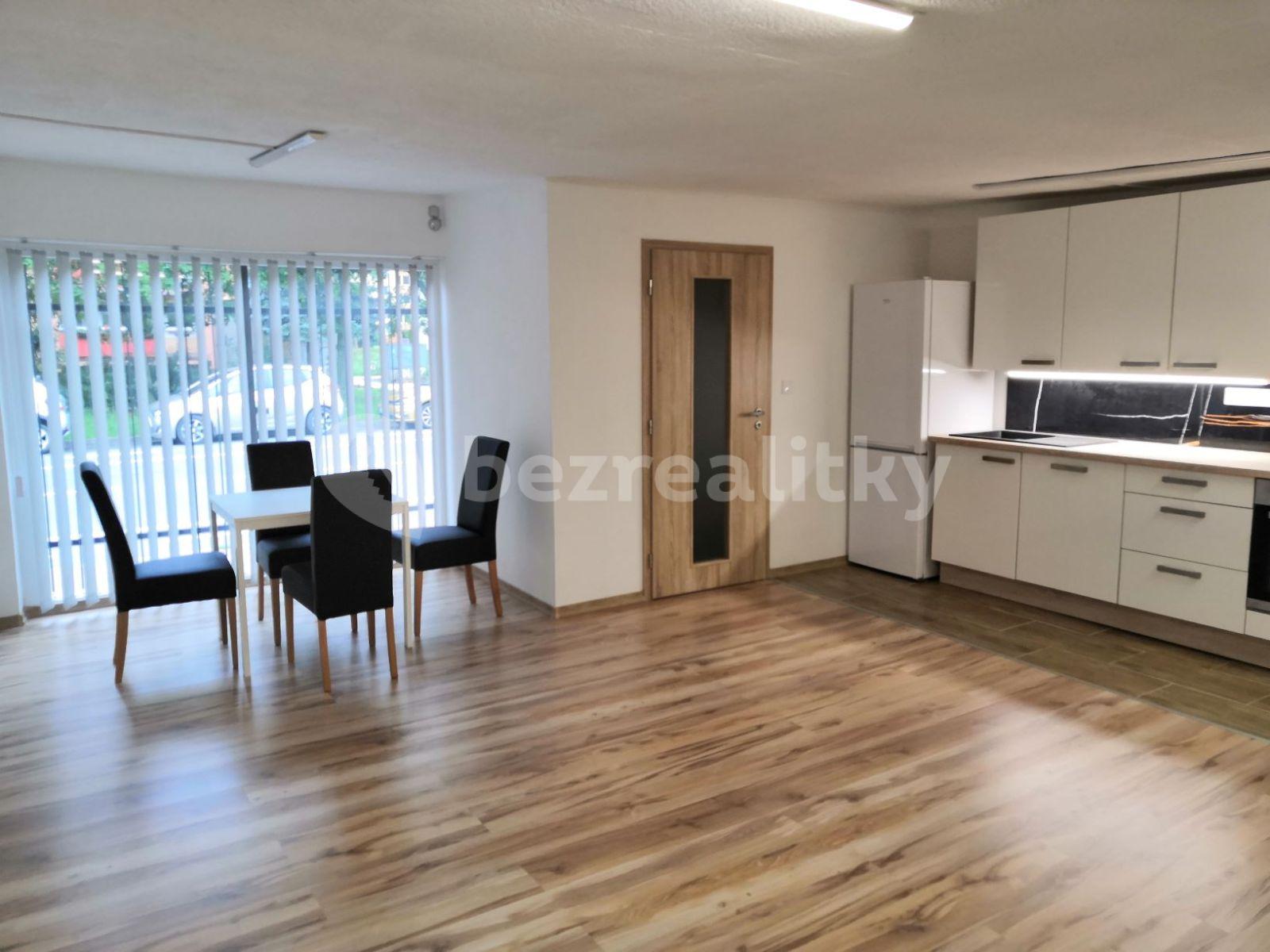 Pronájem bytu 2+kk 58 m², Bílovecká, Opava, Moravskoslezský kraj