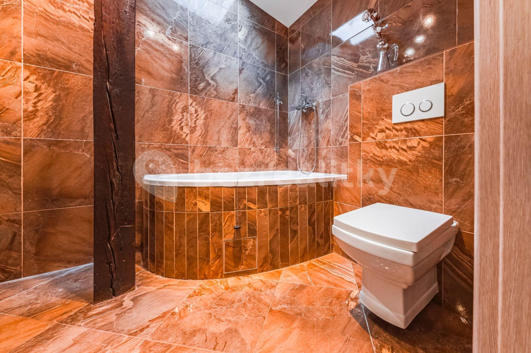 Pronájem bytu 3+kk 100 m², Tolstého, Praha, Praha