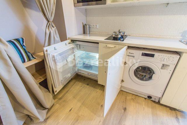 Pronájem bytu 1+kk 25 m², Plynární, Praha, Praha