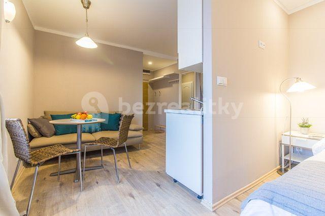 Pronájem bytu 1+kk 25 m², Plynární, Praha, Praha