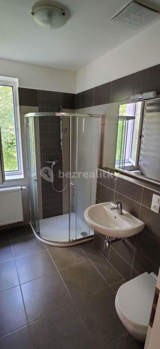 Pronájem bytu 1+kk 26 m², U Boru, České Budějovice, Jihočeský kraj