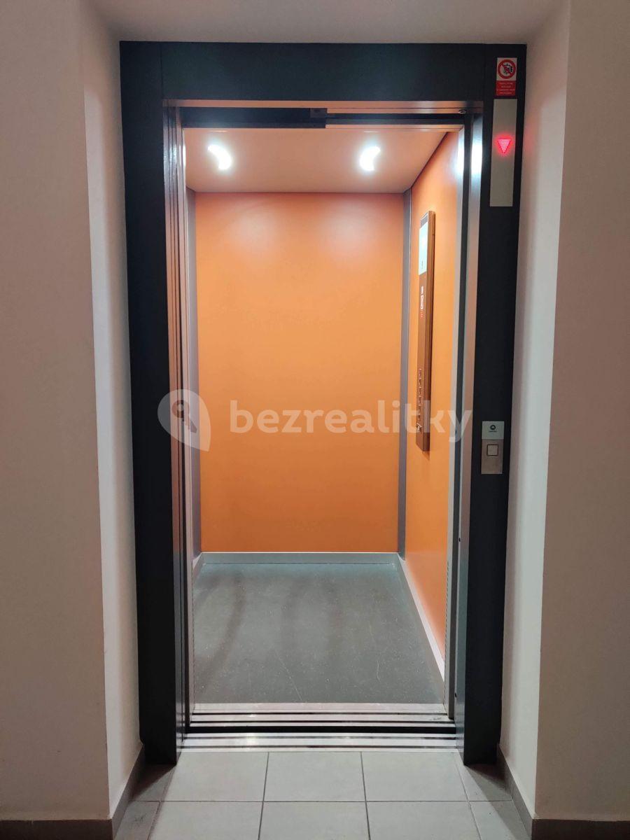 Pronájem bytu 1+kk 26 m², U Boru, České Budějovice, Jihočeský kraj