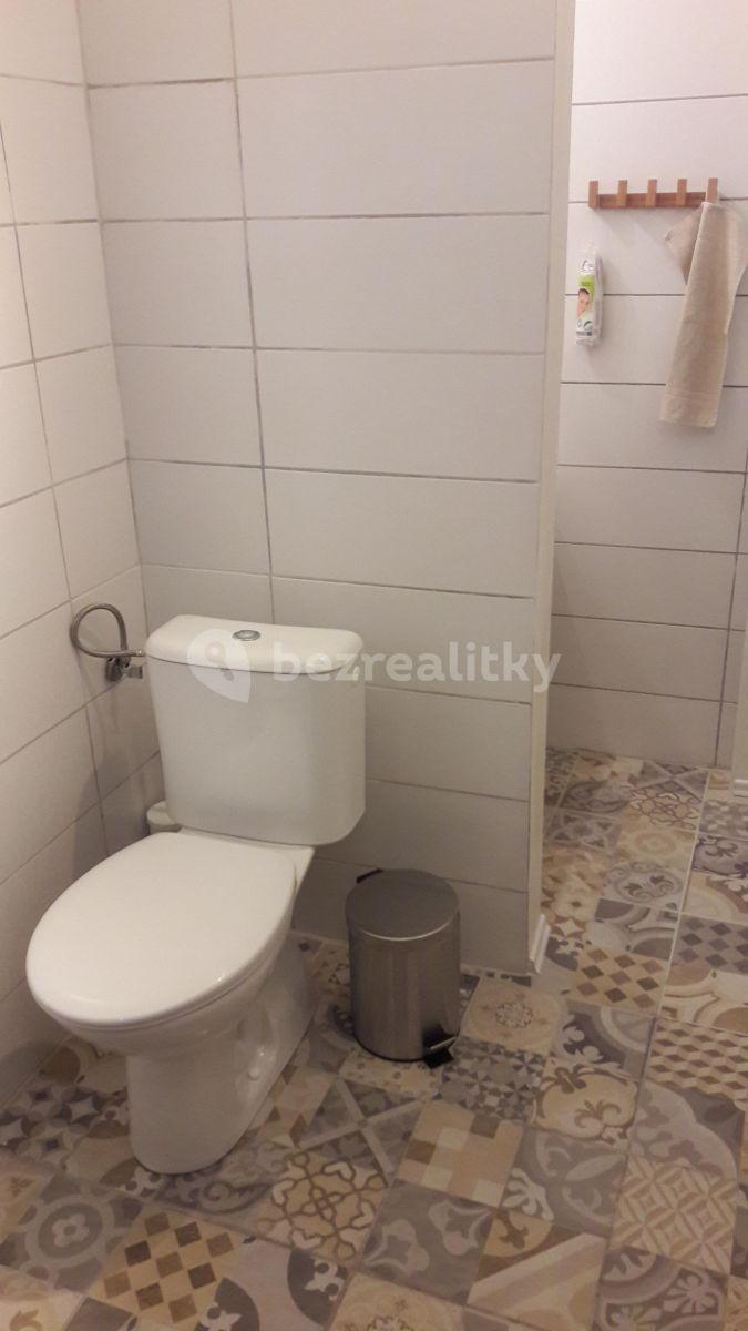 Pronájem bytu 1+kk 40 m², Vodičkova, Praha, Praha