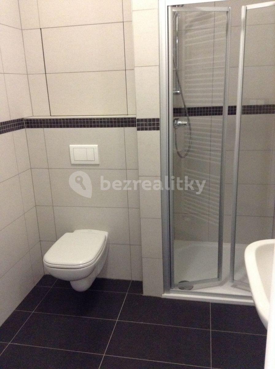 Pronájem bytu 1+kk 30 m², Brno, Jihomoravský kraj