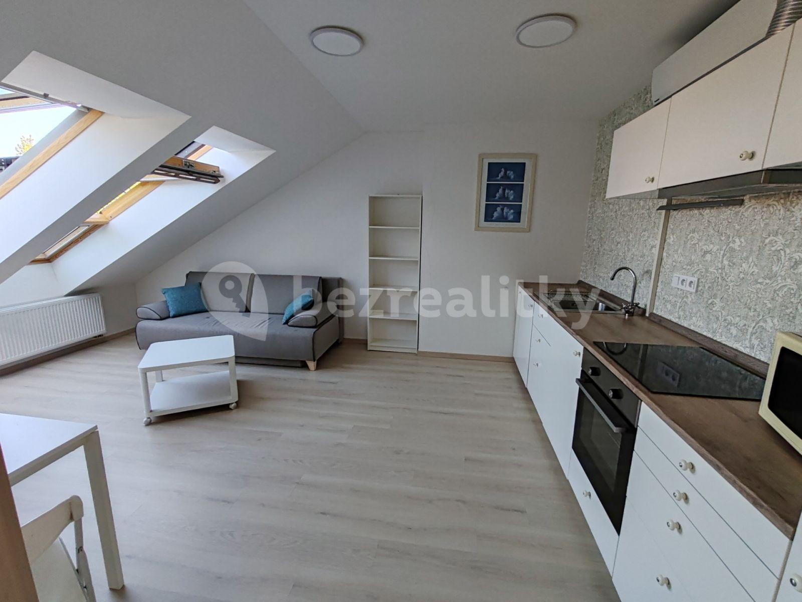 Pronájem bytu 1+kk 35 m², U Hrubých, Vestec, Středočeský kraj