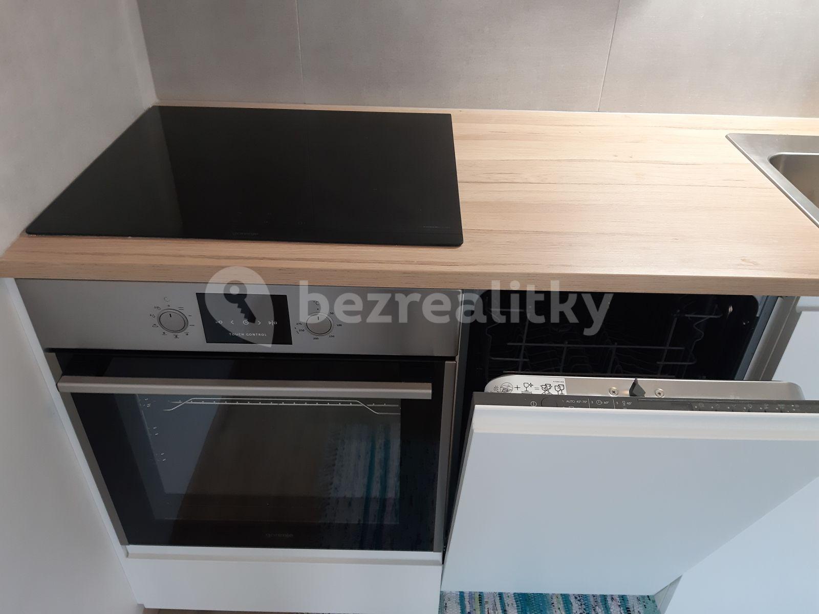 Pronájem bytu 1+kk 38 m², Horolezecká, Praha, Praha