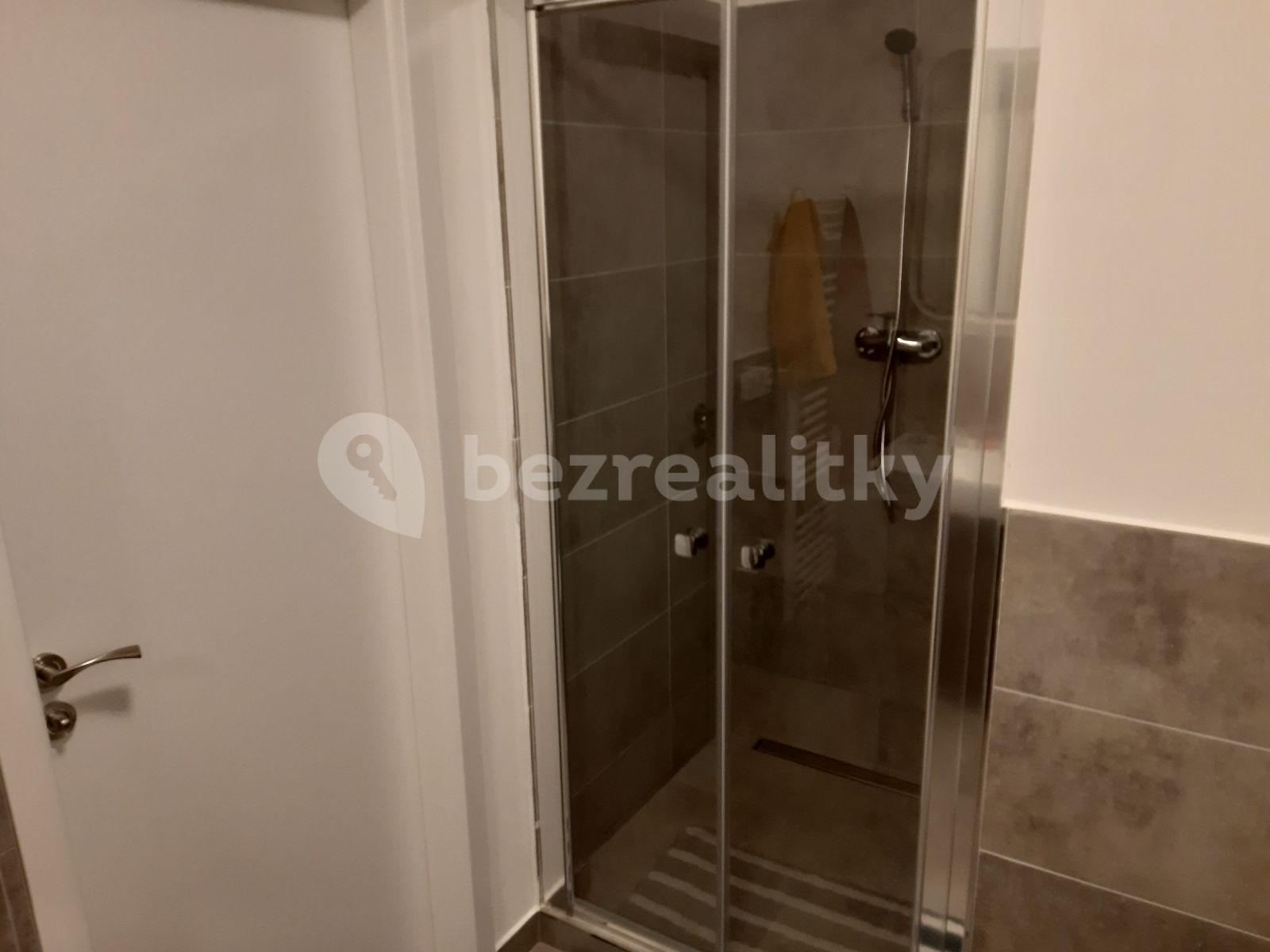 Pronájem bytu 1+kk 38 m², Horolezecká, Praha, Praha