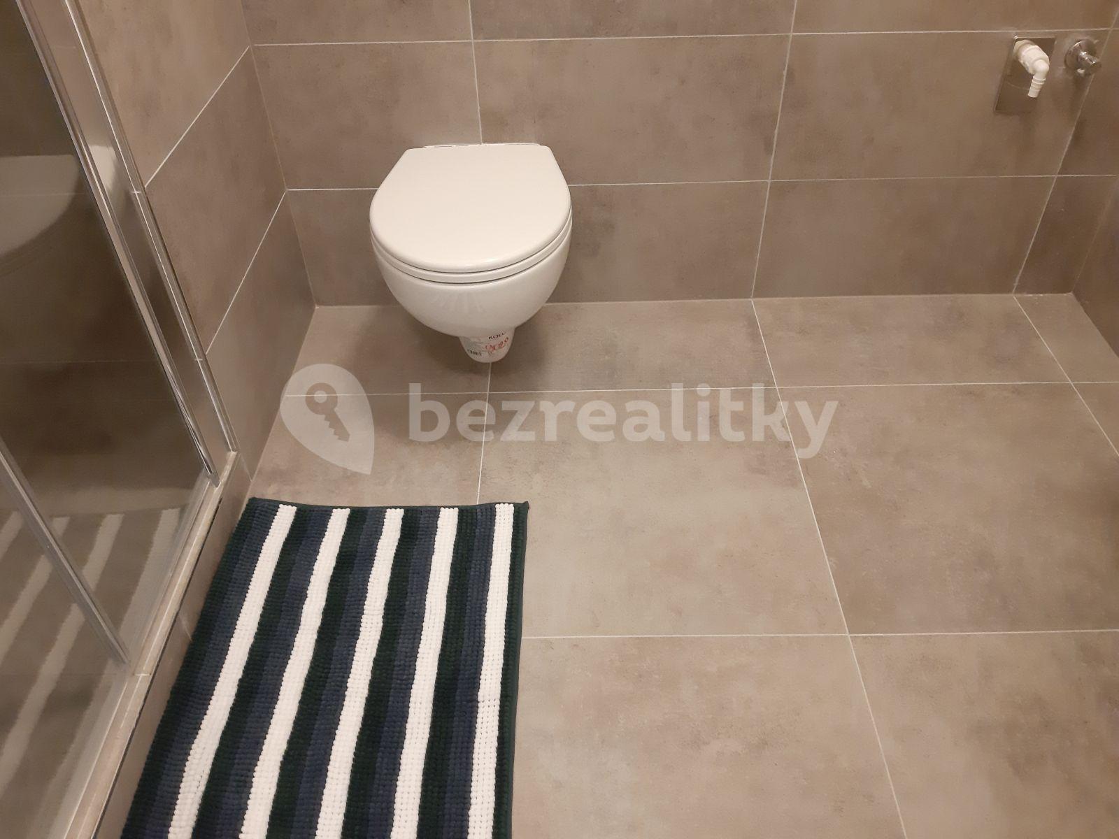 Pronájem bytu 1+kk 38 m², Horolezecká, Praha, Praha