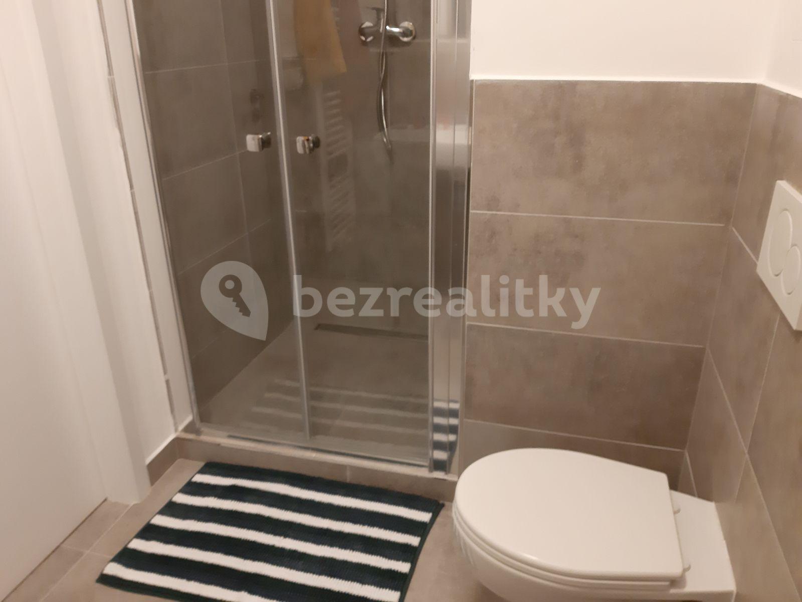 Pronájem bytu 1+kk 38 m², Horolezecká, Praha, Praha