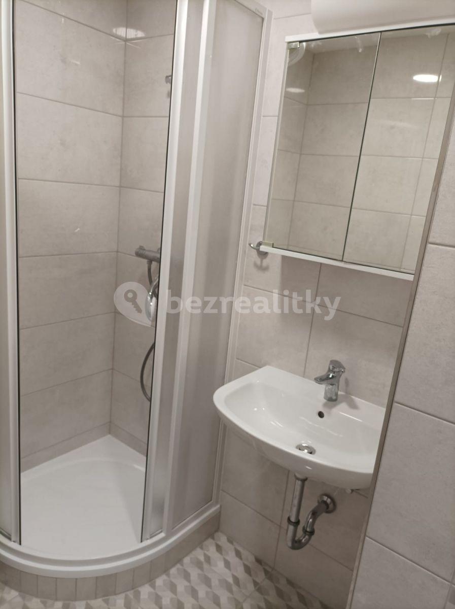 Pronájem bytu 2+1 67 m², Plukovníka Mráze, Praha, Praha