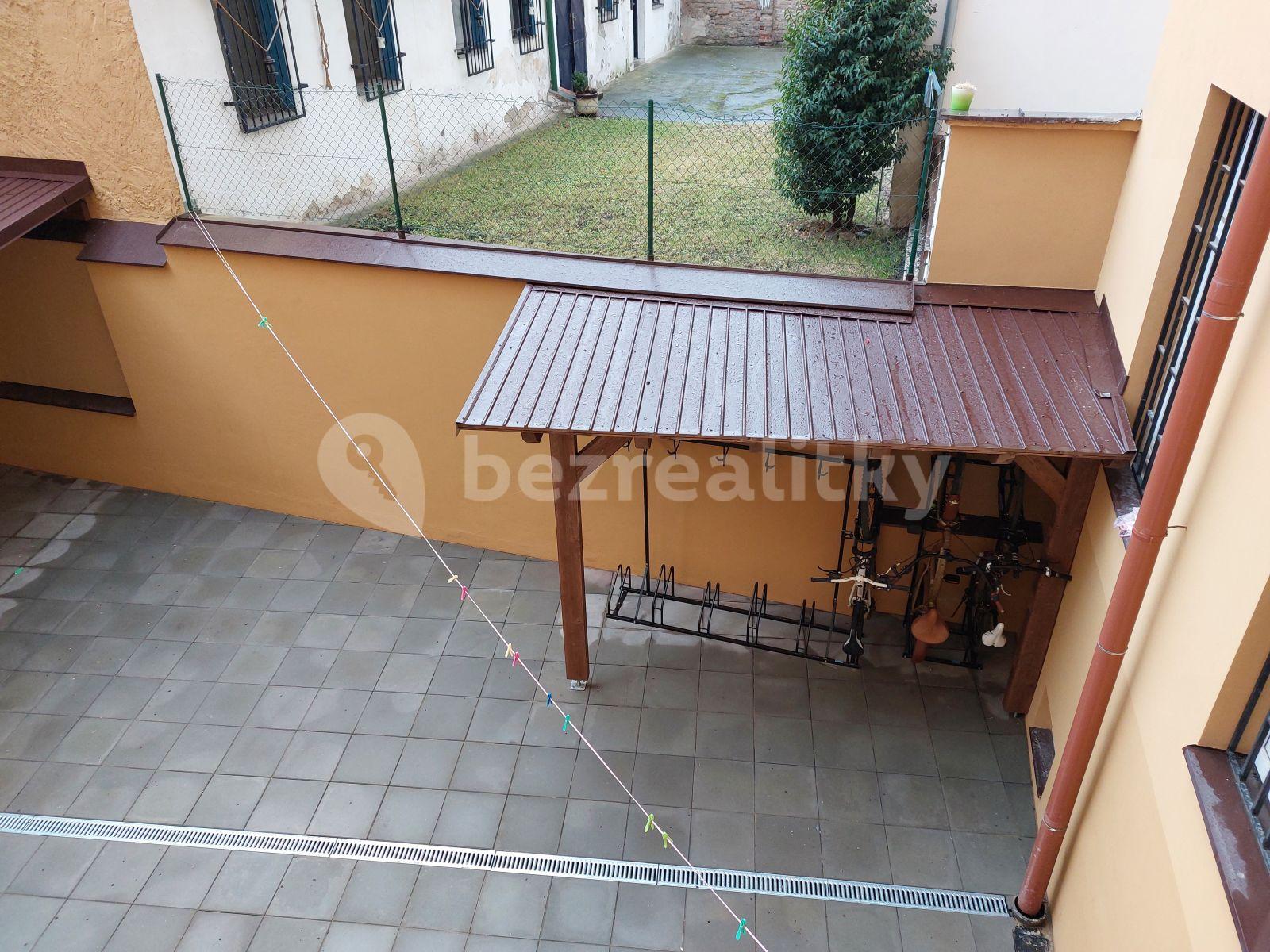 Pronájem bytu 1+kk 16 m², Křížová, Praha, Praha