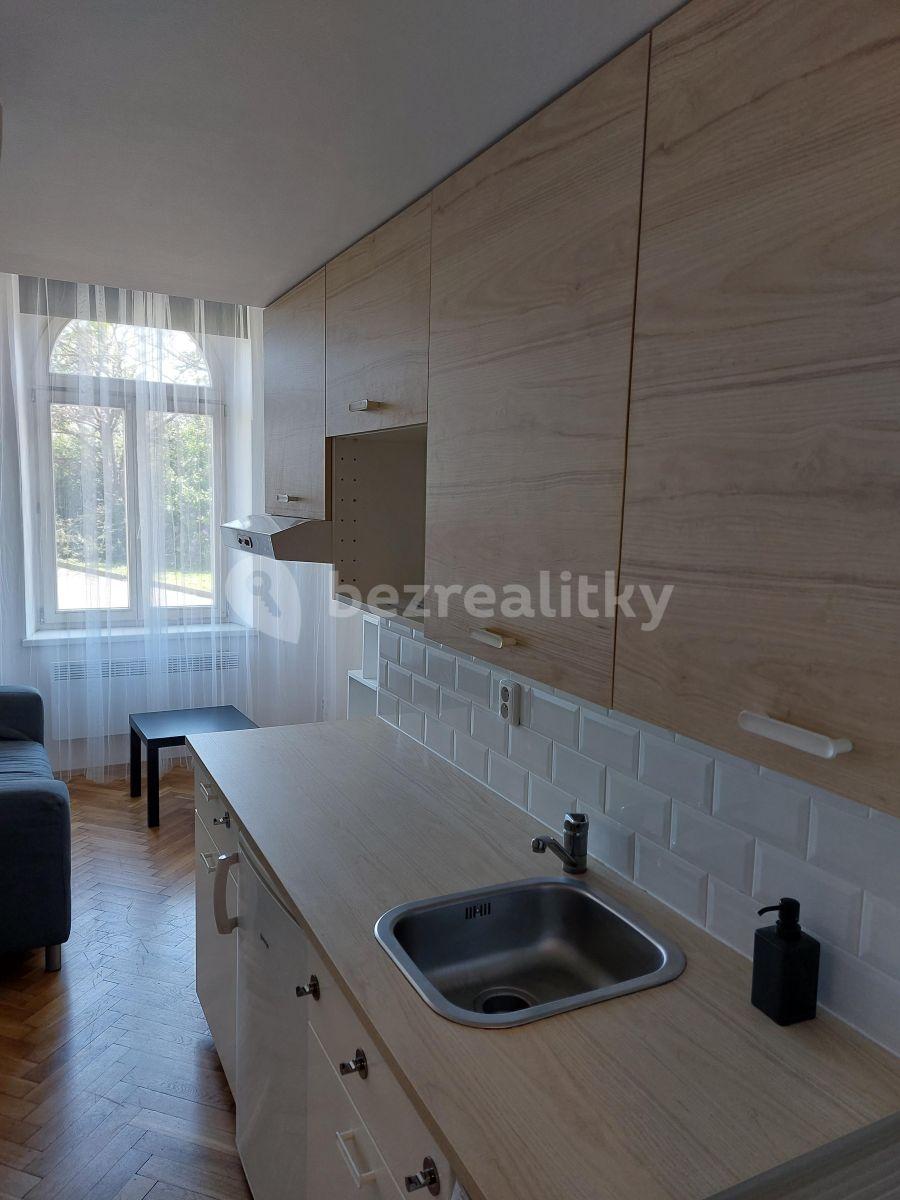 Pronájem bytu 1+kk 16 m², Křížová, Praha, Praha