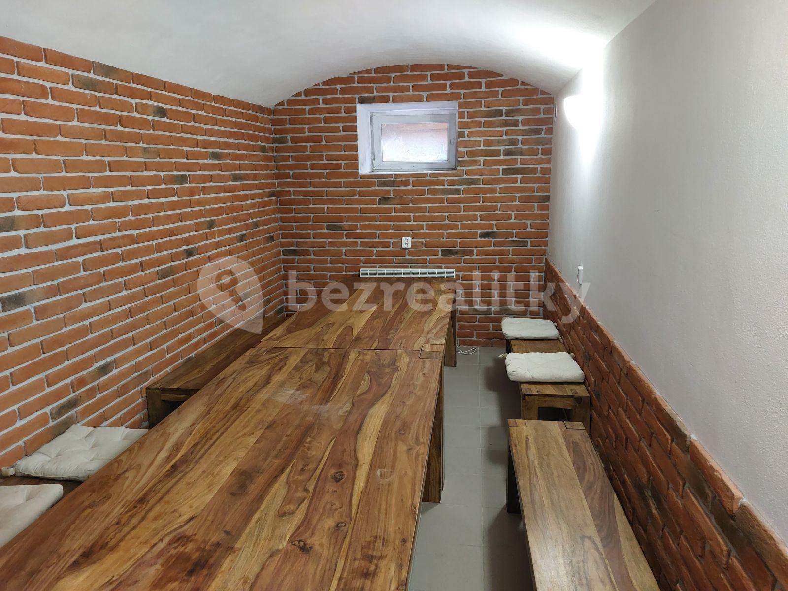 Pronájem bytu 1+kk 16 m², Křížová, Praha, Praha