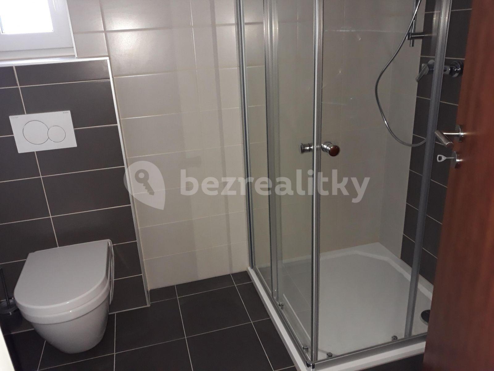 Pronájem bytu 1+kk 30 m², Moravanská, Brno, Jihomoravský kraj