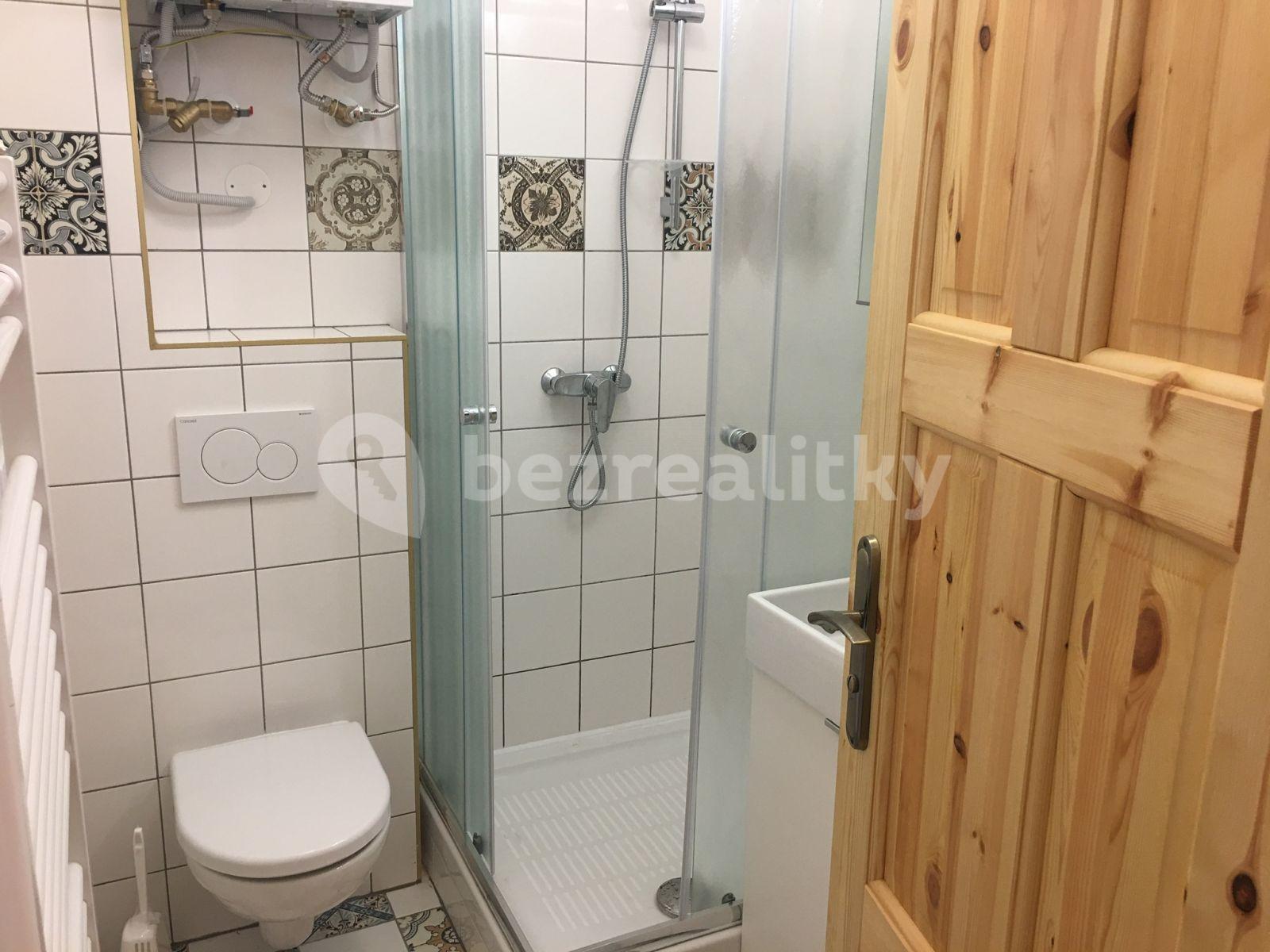 Pronájem bytu 2+kk 48 m², Sobotkova, Brno, Jihomoravský kraj