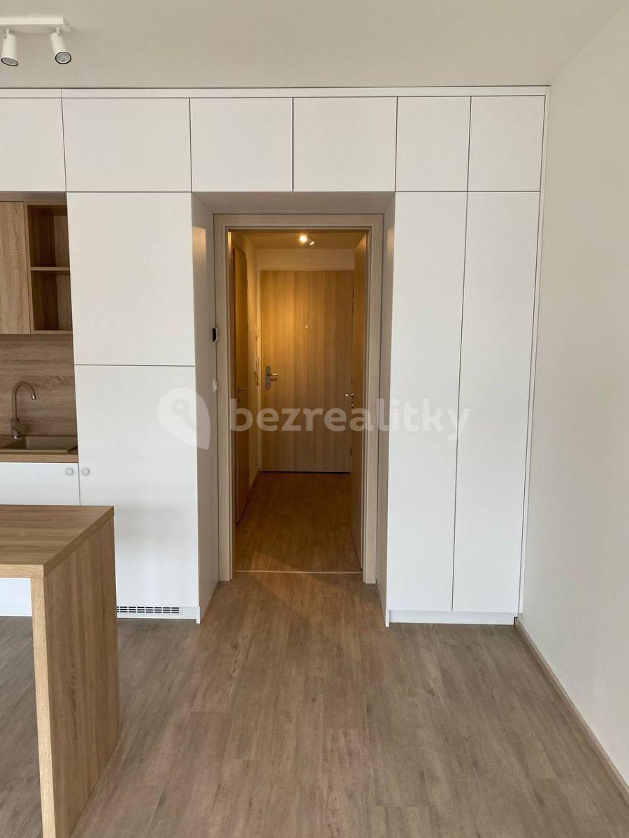 Pronájem bytu 1+kk 30 m², Do Zahrádek Ⅰ, Praha, Praha