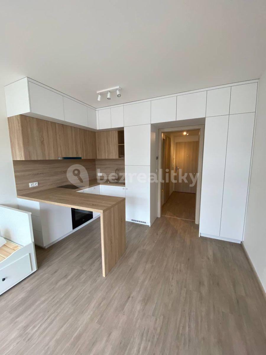 Pronájem bytu 1+kk 30 m², Do Zahrádek Ⅰ, Praha, Praha