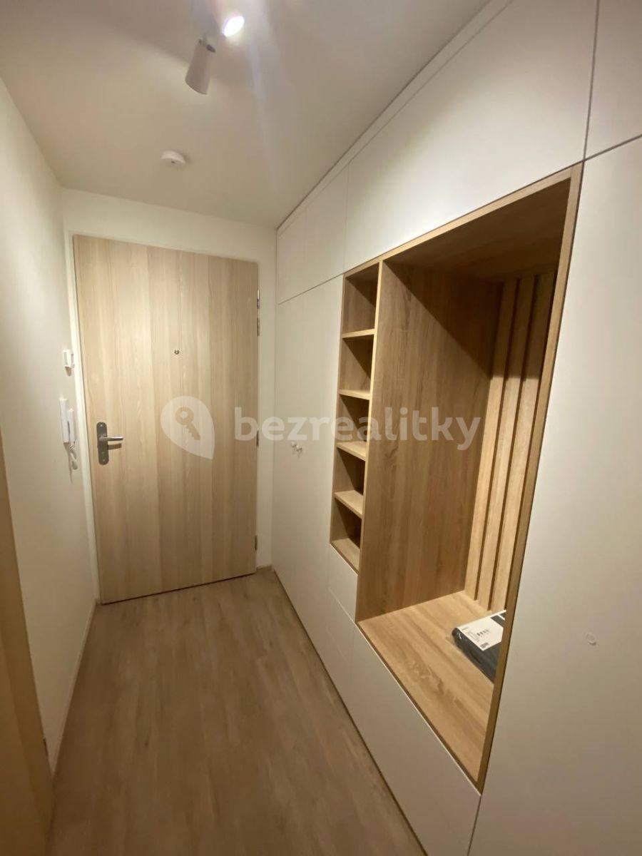 Pronájem bytu 1+kk 30 m², Do Zahrádek Ⅰ, Praha, Praha