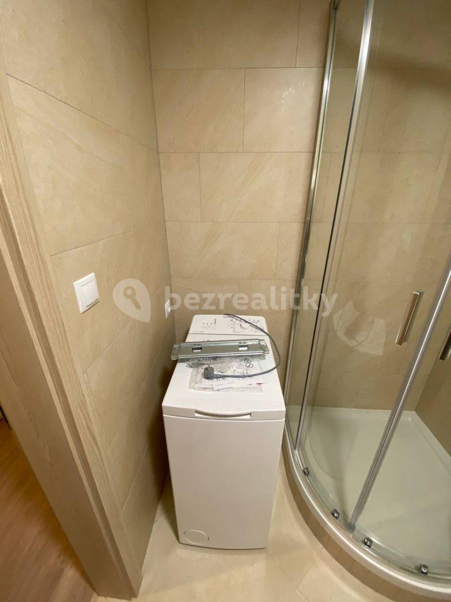 Pronájem bytu 1+kk 30 m², Do Zahrádek Ⅰ, Praha, Praha