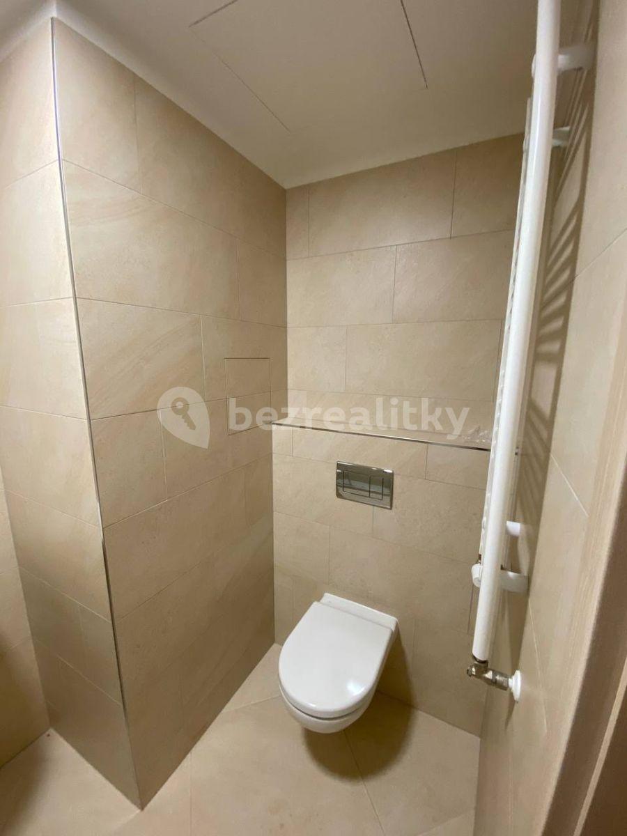 Pronájem bytu 1+kk 30 m², Do Zahrádek Ⅰ, Praha, Praha