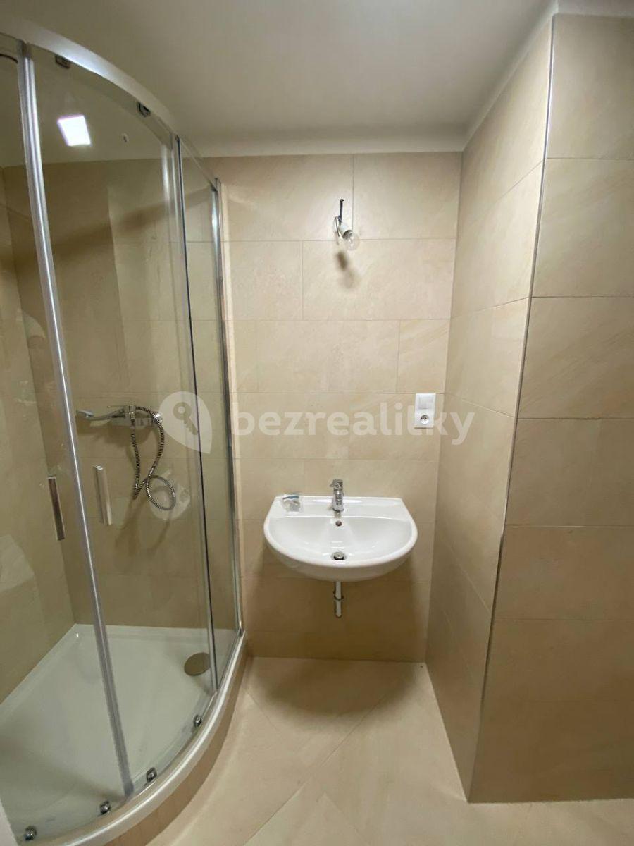 Pronájem bytu 1+kk 30 m², Do Zahrádek Ⅰ, Praha, Praha