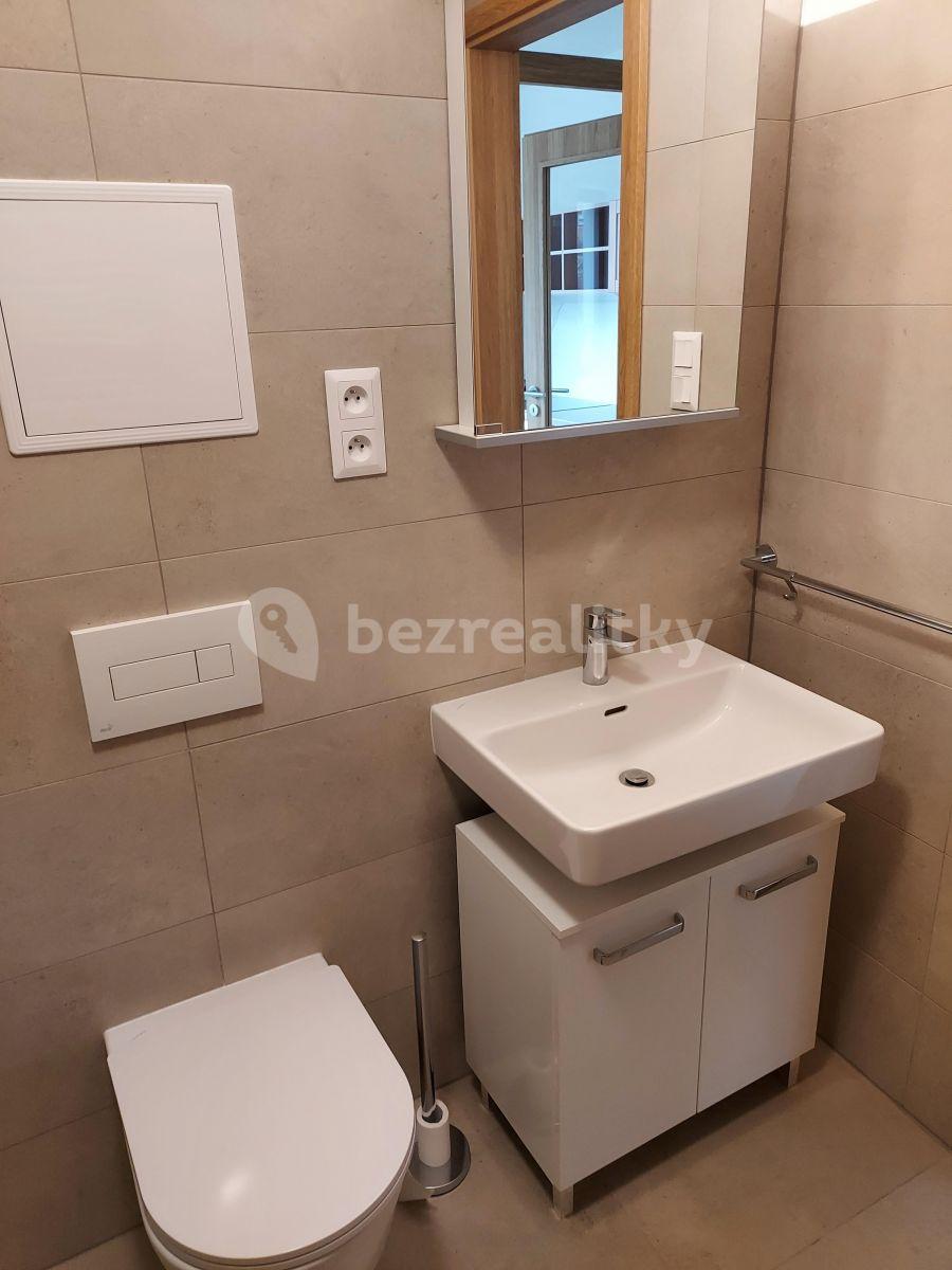 Pronájem bytu 1+kk 32 m², Pallova, Plzeň, Plzeňský kraj