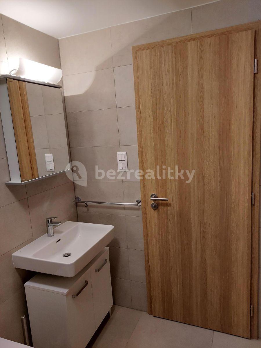 Pronájem bytu 1+kk 32 m², Pallova, Plzeň, Plzeňský kraj