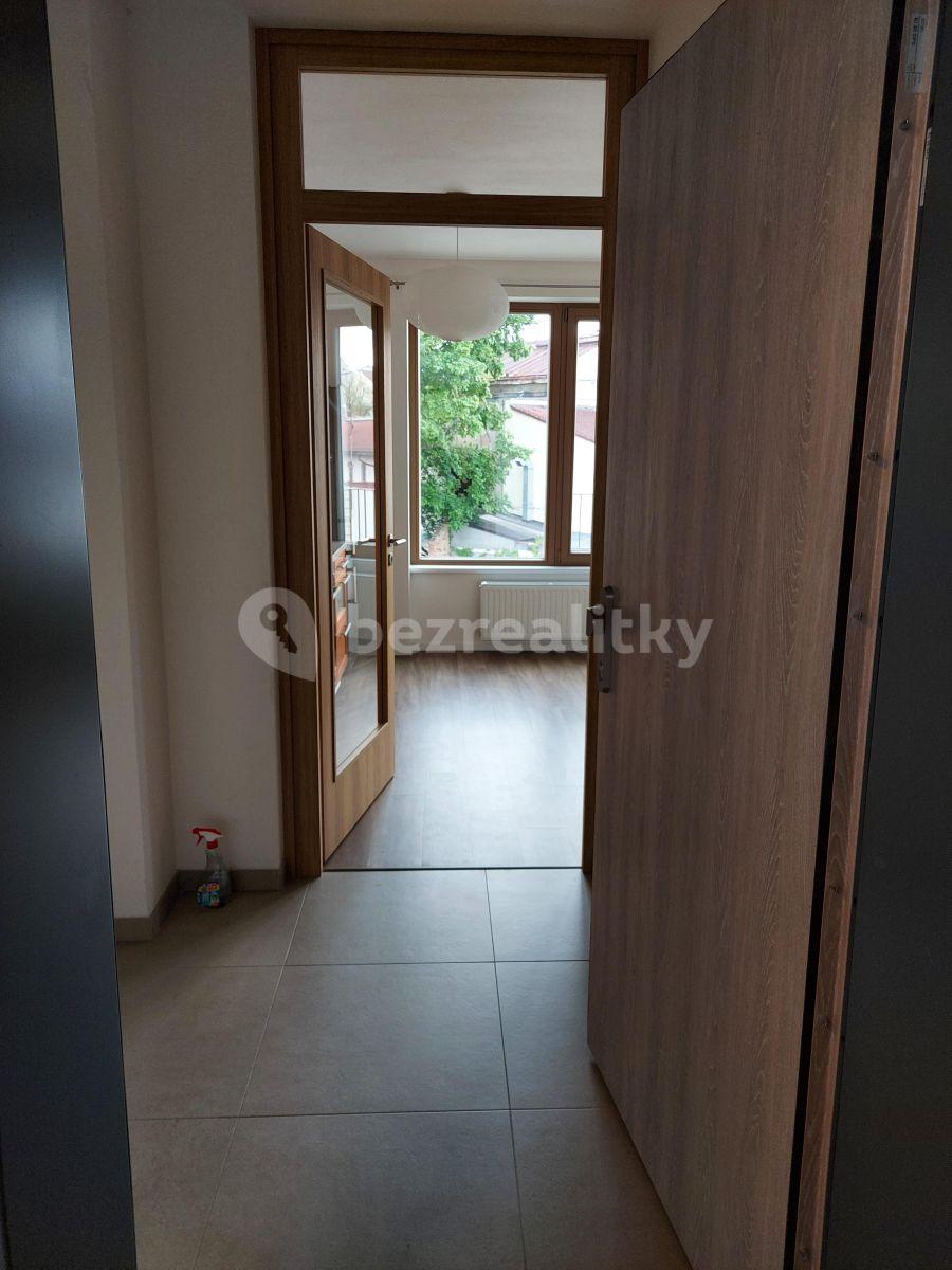 Pronájem bytu 1+kk 32 m², Pallova, Plzeň, Plzeňský kraj