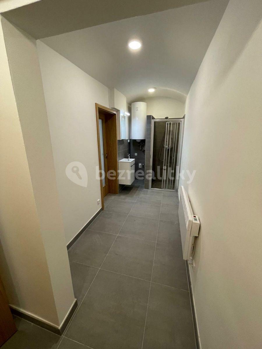 Pronájem bytu 1+kk 26 m², Slezská, Praha, Praha