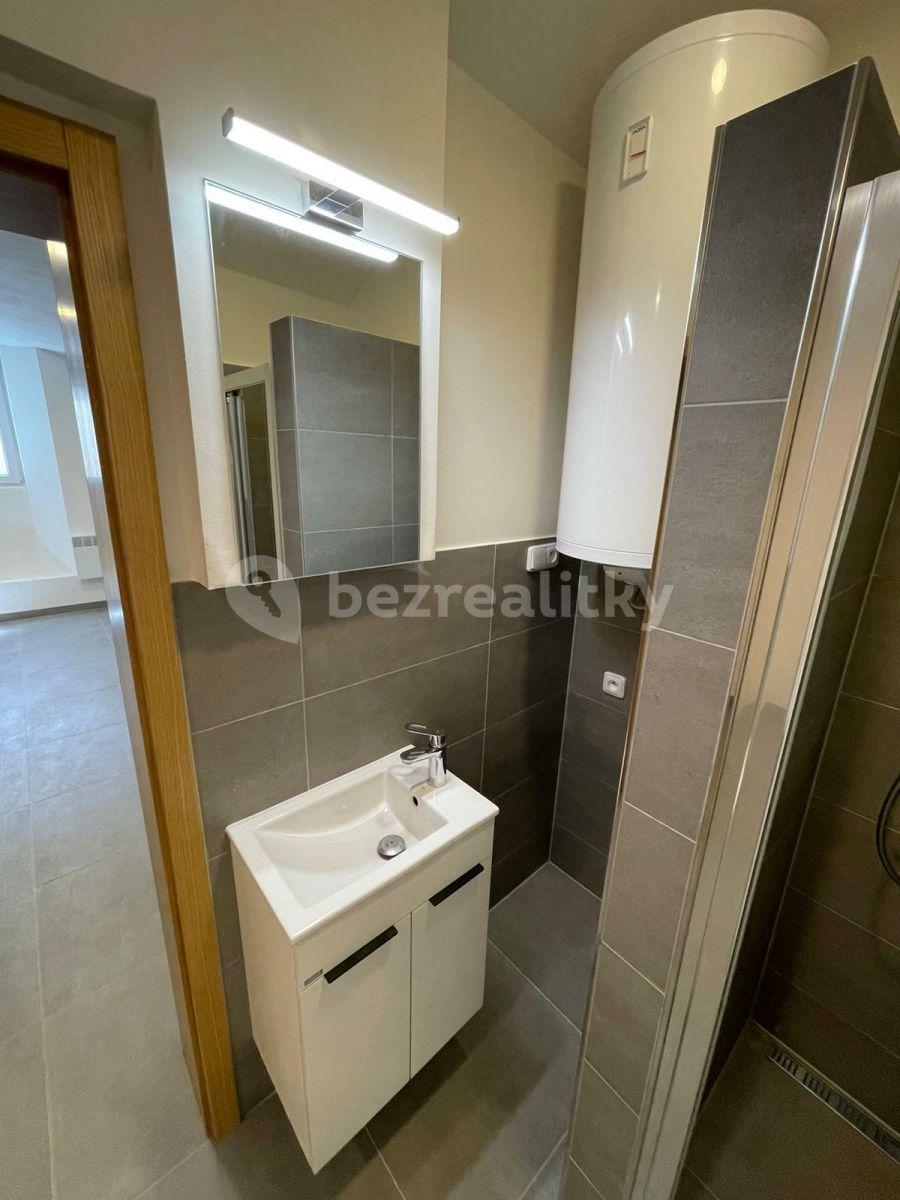 Pronájem bytu 1+kk 26 m², Slezská, Praha, Praha