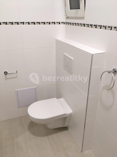 Pronájem bytu Garsoniéra 32 m², V Olšinách, Praha, Praha