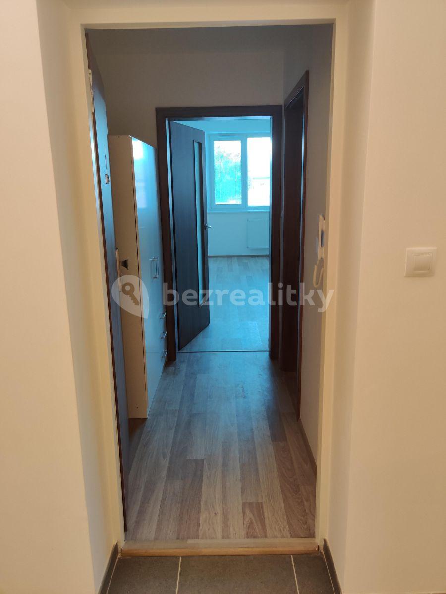 Pronájem bytu 1+kk 30 m², Vranovská, Brno, Jihomoravský kraj