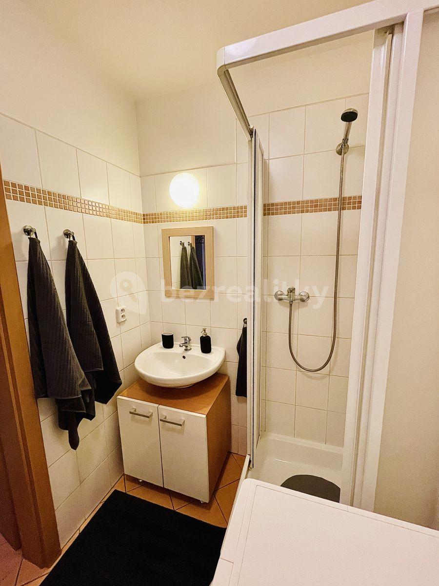 Pronájem bytu 1+kk 34 m², V Újezdech, Brno, Jihomoravský kraj