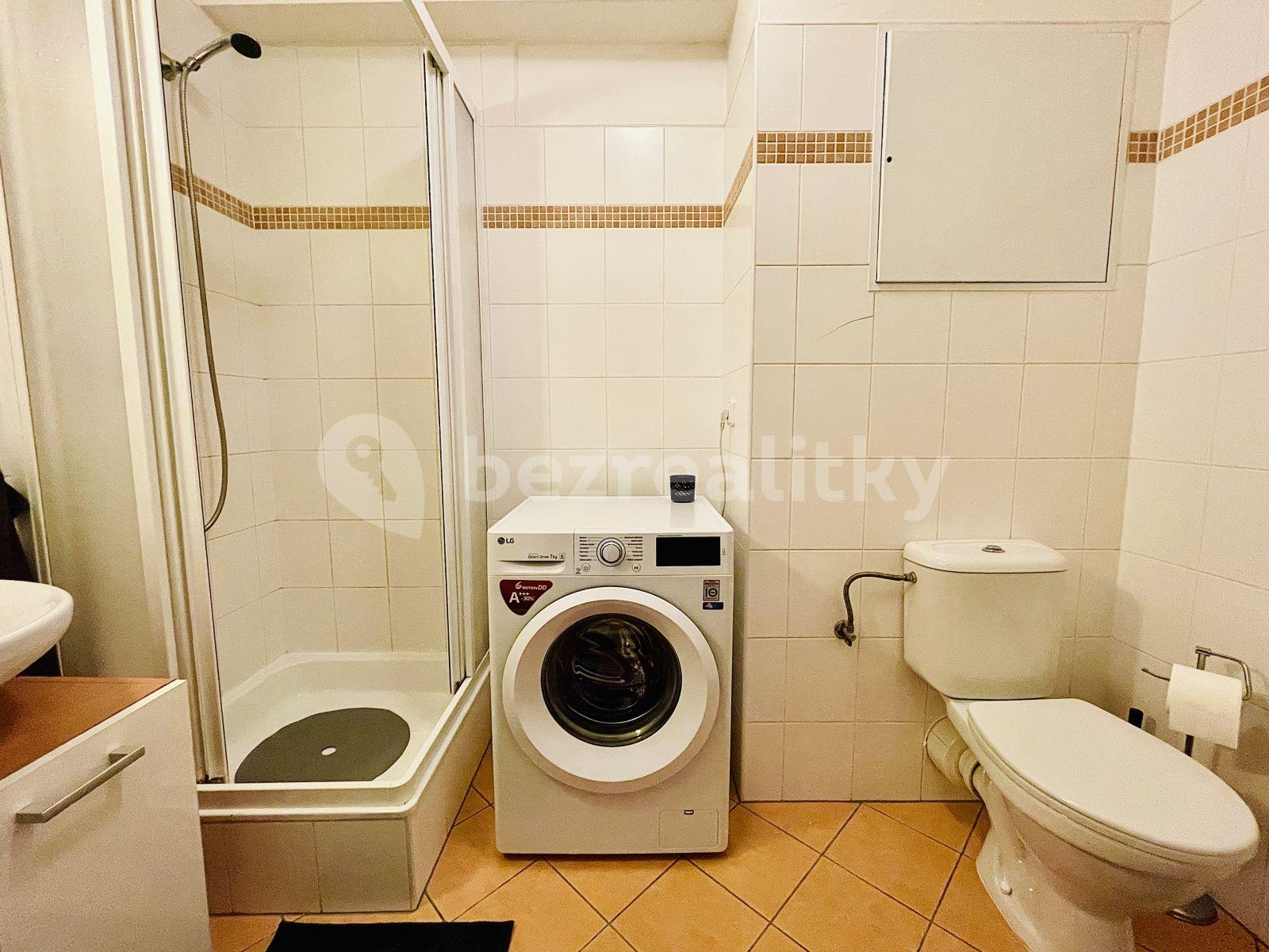 Pronájem bytu 1+kk 34 m², V Újezdech, Brno, Jihomoravský kraj