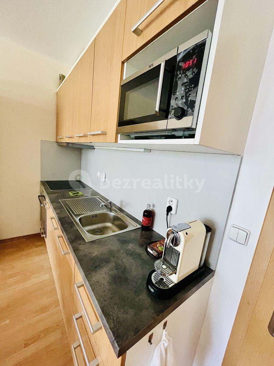 Pronájem bytu 1+kk 34 m², V Újezdech, Brno, Jihomoravský kraj