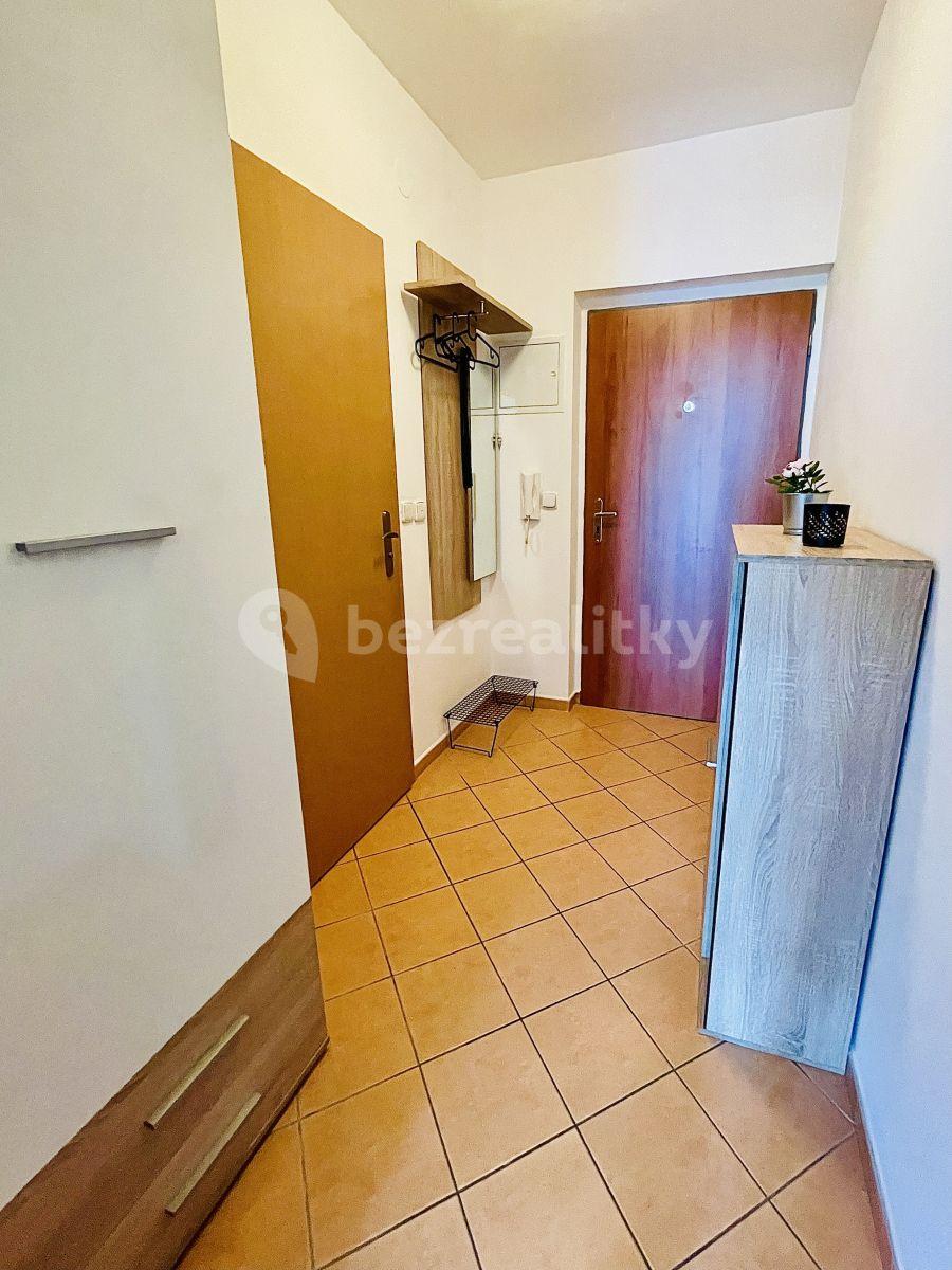 Pronájem bytu 1+kk 34 m², V Újezdech, Brno, Jihomoravský kraj