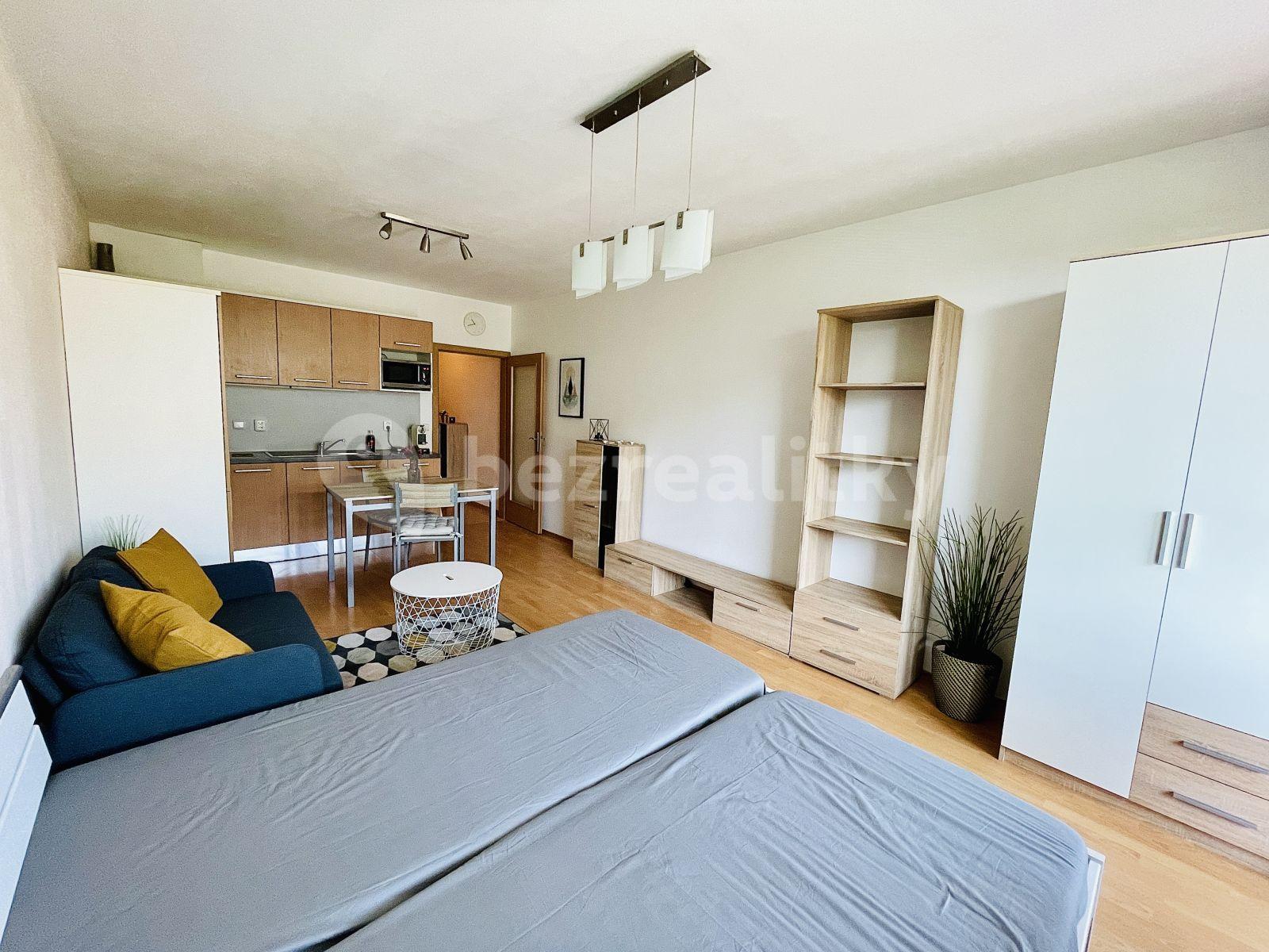 Pronájem bytu 1+kk 34 m², V Újezdech, Brno, Jihomoravský kraj