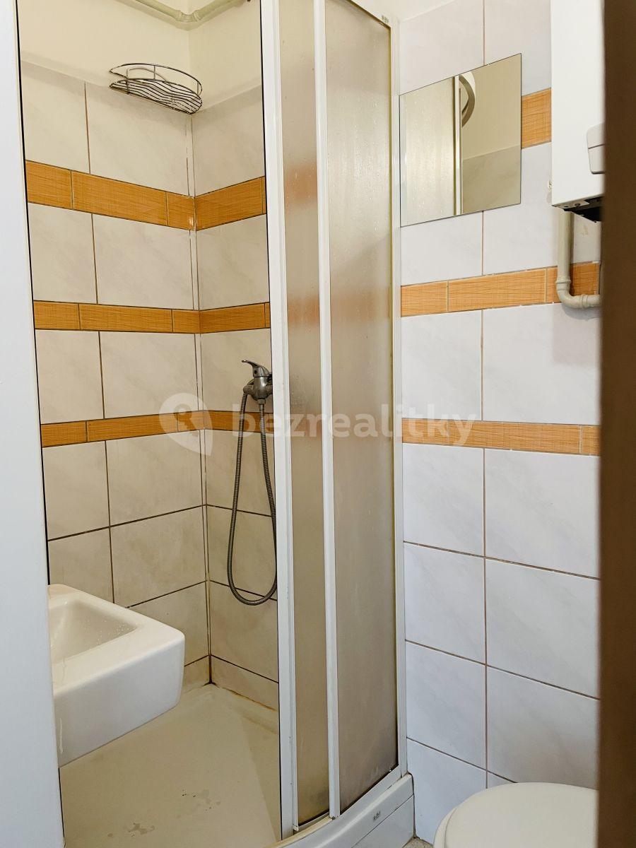 Pronájem bytu 1+kk 18 m², 28. října, Ostrava, Moravskoslezský kraj