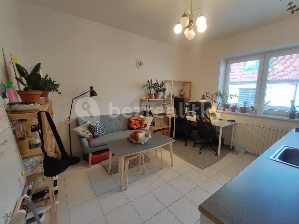 Pronájem bytu 1+1 50 m², Rybnická, Brno, Jihomoravský kraj