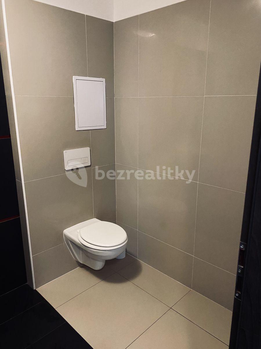 Pronájem bytu 1+kk 65 m², Mladá Boleslav, Středočeský kraj