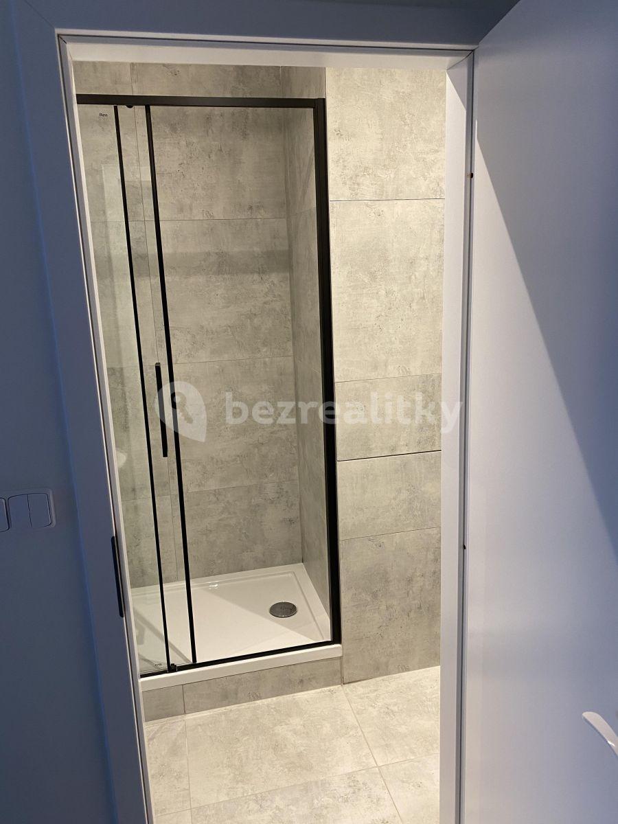 Pronájem bytu 2+kk 41 m², V Zápolí, Praha, Praha