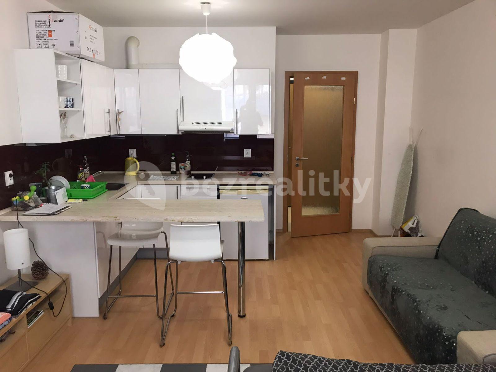 Pronájem bytu 1+kk 29 m², Hanusova, Praha, Praha