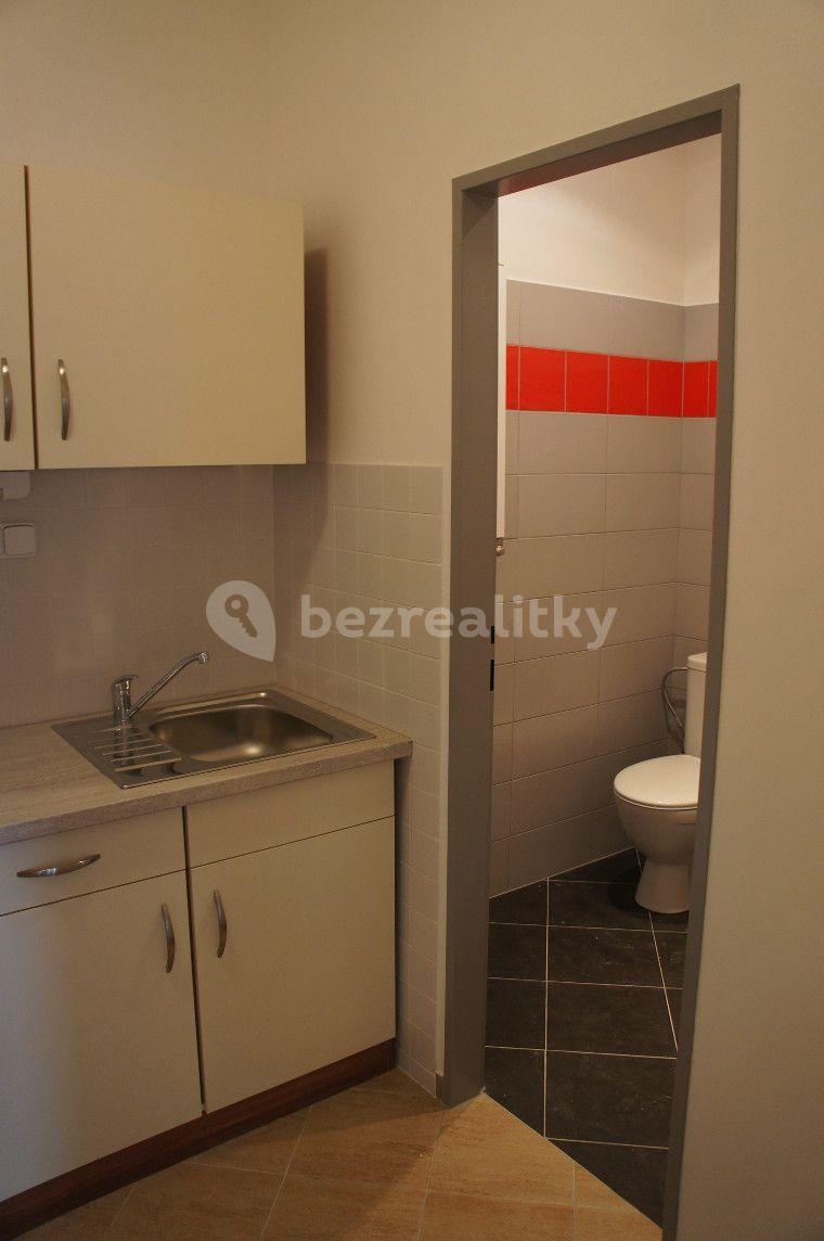 Pronájem bytu 1+kk 30 m², Na Kopečku, Praha, Praha