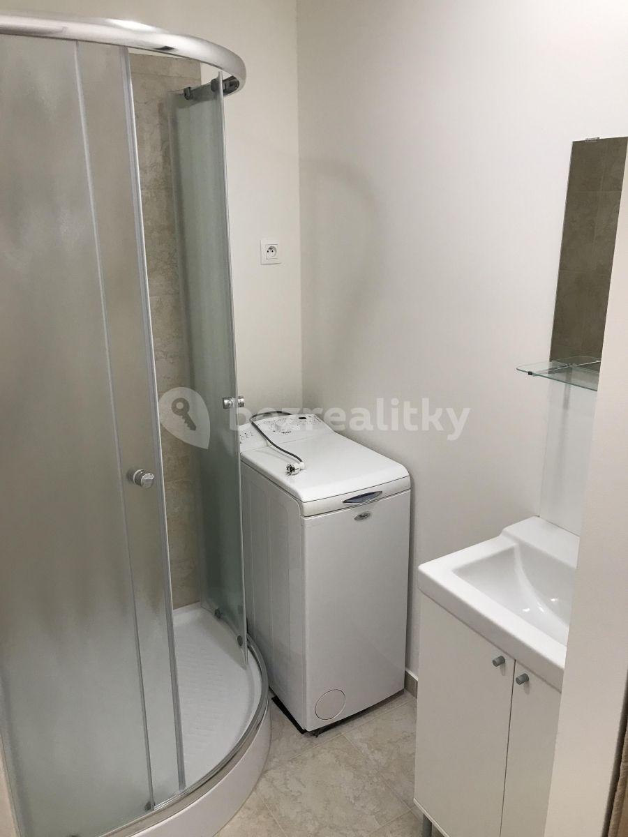 Pronájem bytu 1+kk 32 m², Ostrava, Moravskoslezský kraj