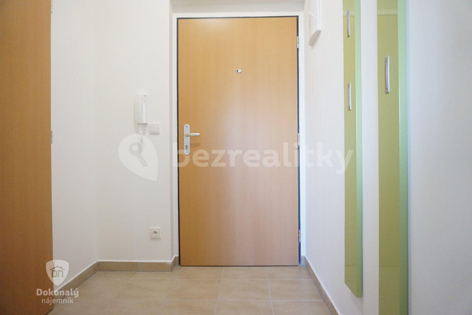 Pronájem bytu 1+kk 30 m², Ecksteinova, Chýně, Středočeský kraj