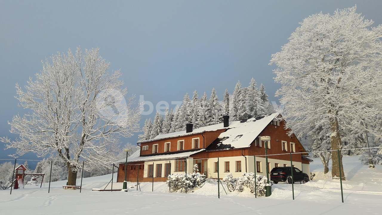 Pronájem chaty, chalupy, Říčky v Orlických horách, Královéhradecký kraj