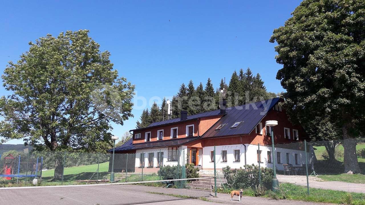 Pronájem chaty, chalupy, Říčky v Orlických horách, Královéhradecký kraj