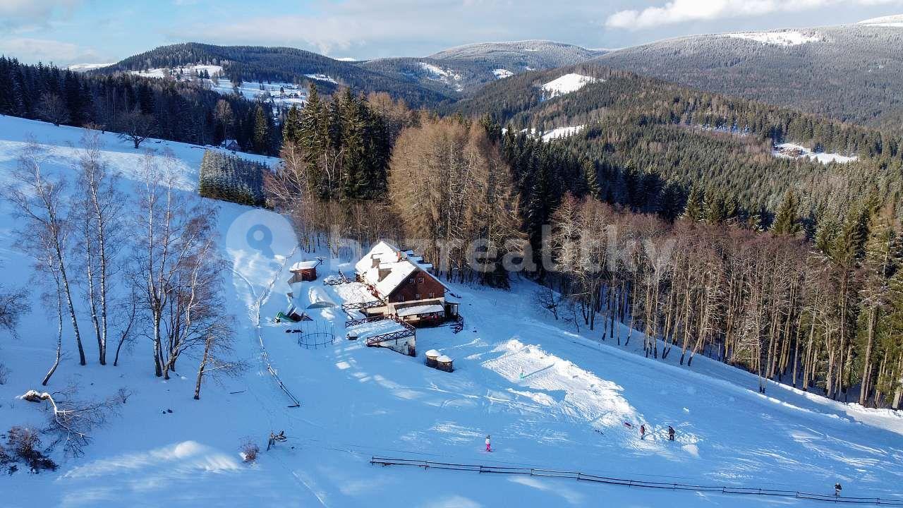 Pronájem chaty, chalupy, Vrchlabí, Královéhradecký kraj